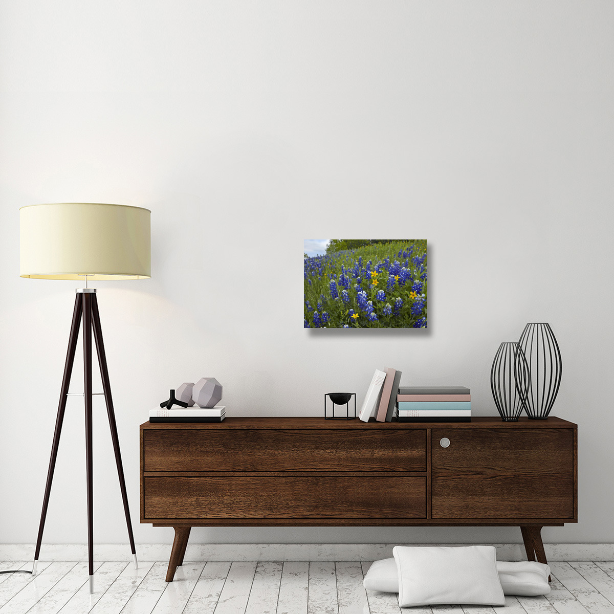 Bluebonnet and Texas Yellowstar meadow, Cedar Hill State Park, Texas-Canvas Art-24&quotx18"