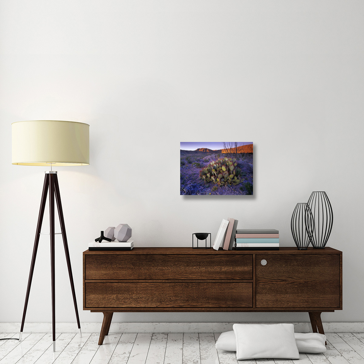 Opuntia in Chihuahuan Desert landscape, Big Bend National Park, Texas-Canvas Art-24&quotx18"