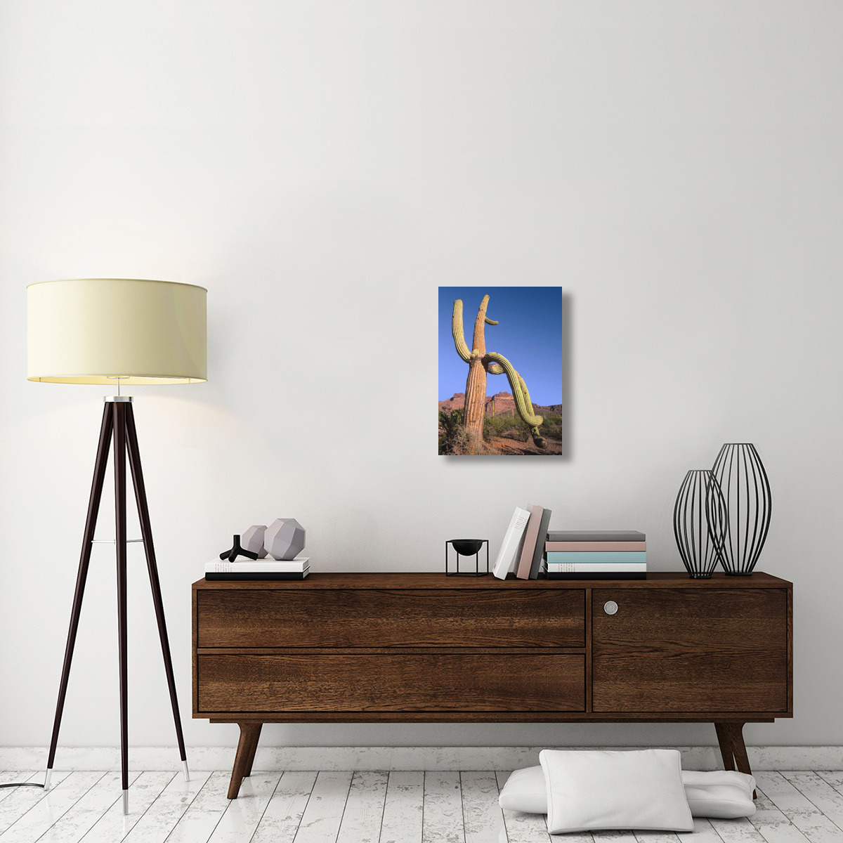 Ajo Mountains and Saguaro Organ Pipe Cactus National Monument, Arizona-Canvas Art-18&quotx24"