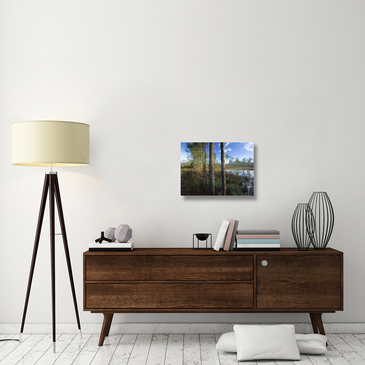 Pond near the Loxahatchee River, Jonathan Dickinson State Park, Florida-Canvas Art-24&quotx18"