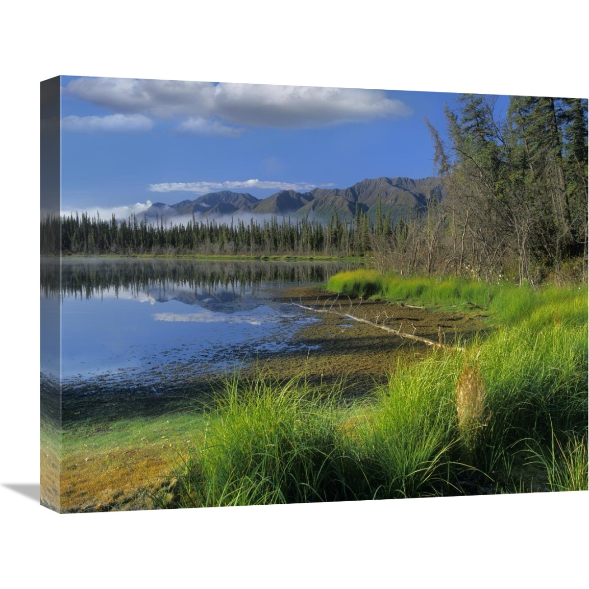 Nutzotin Mountains and boreal forest reflected in receding lake, Alaska-Canvas Art-24&quotx20"