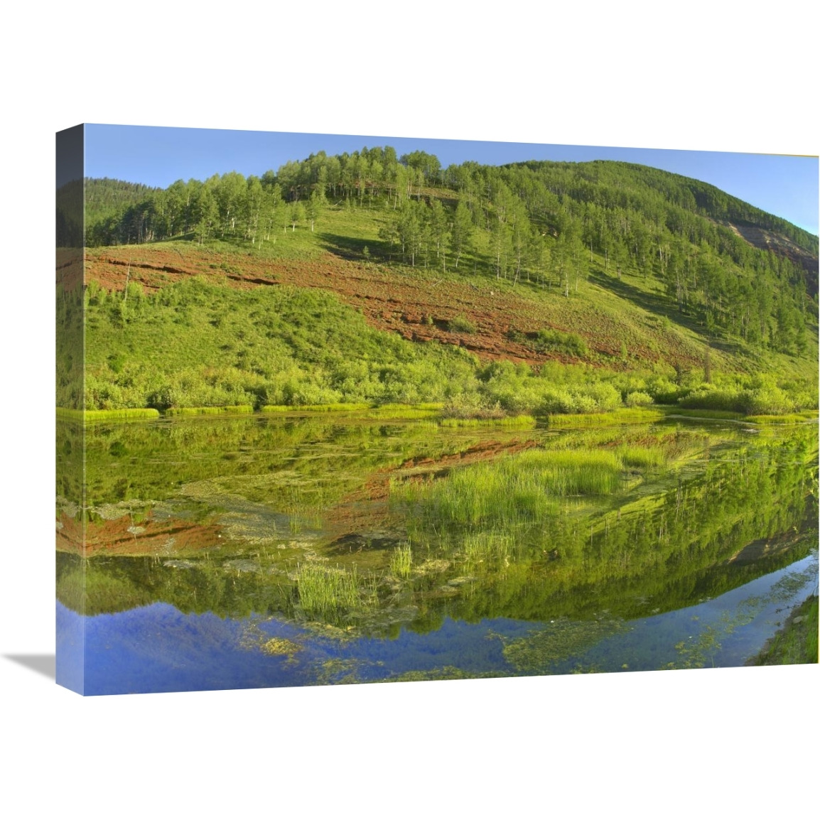 Rico Mountains reflected in Dolores River backwater near Rico, Colorado-Canvas Art-24&quotx18"