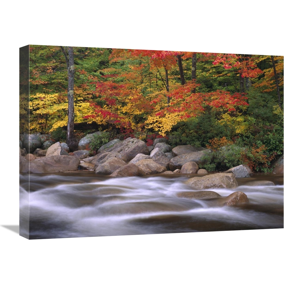 Autumn along Swift River, White Mountains National Forest, New Hampshire-Canvas Art-24&quotx18"