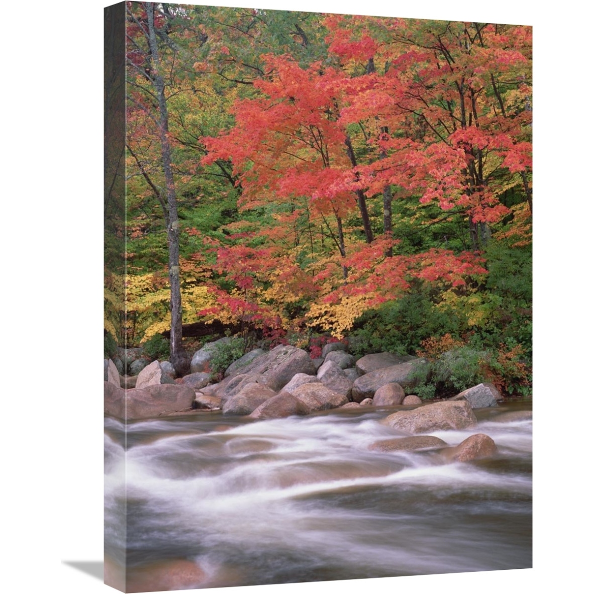 Autumn along Swift River, White Mountains National Forest, New Hampshire-Canvas Art-18&quotx24"