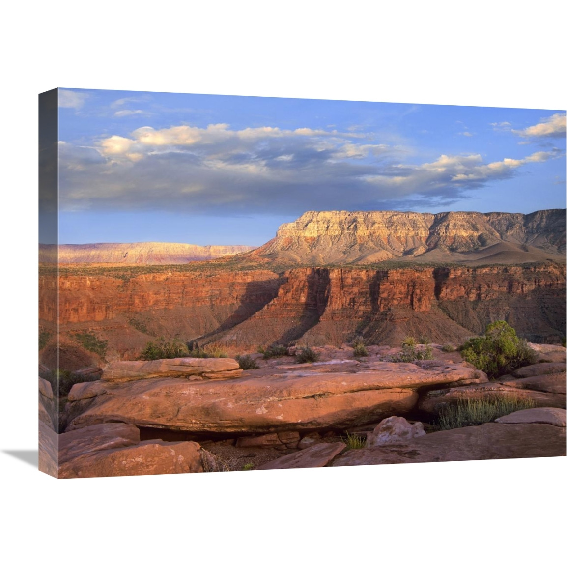 Aubrey Cliffs from Toroweap Overlook, Grand Canyon National Park, Arizona-Canvas Art-24&quotx18"