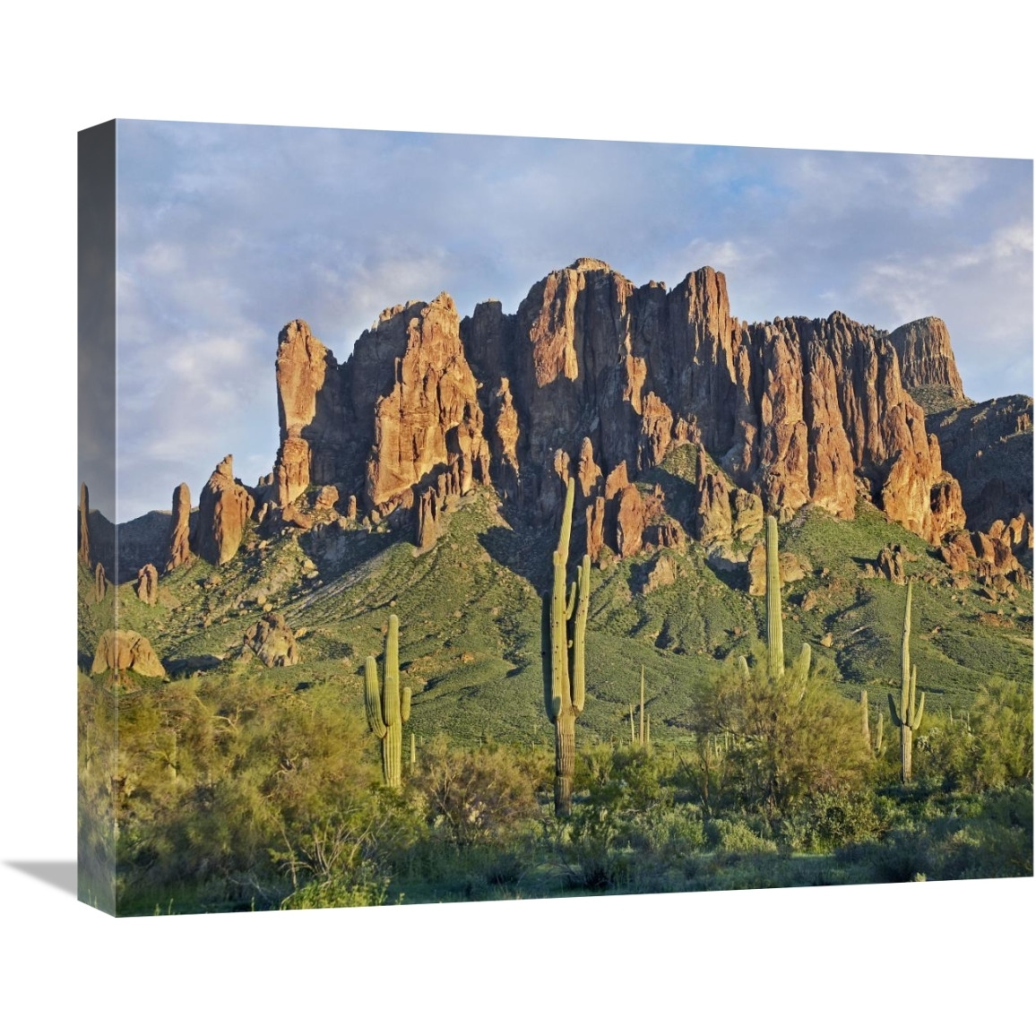 Saguaro cacti and Superstition Mountains, Lost Dutchman State Park, Arizona-Canvas Art-22&quotx18.26"