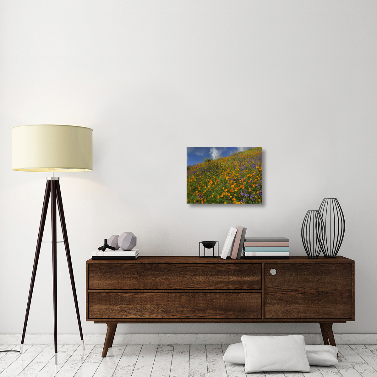 California Poppy and Desert Bluebells carpeting a spring hillside, California-Canvas Art-24&quotx18"