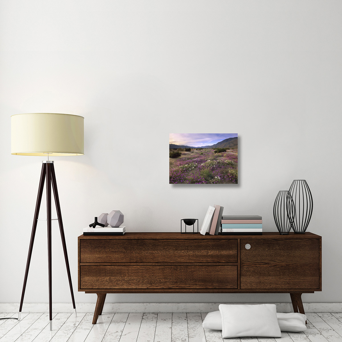 Sand Verbena and Primrose blooming, Anza-Borrego Desert State Park, California-Canvas Art-24&quotx18"