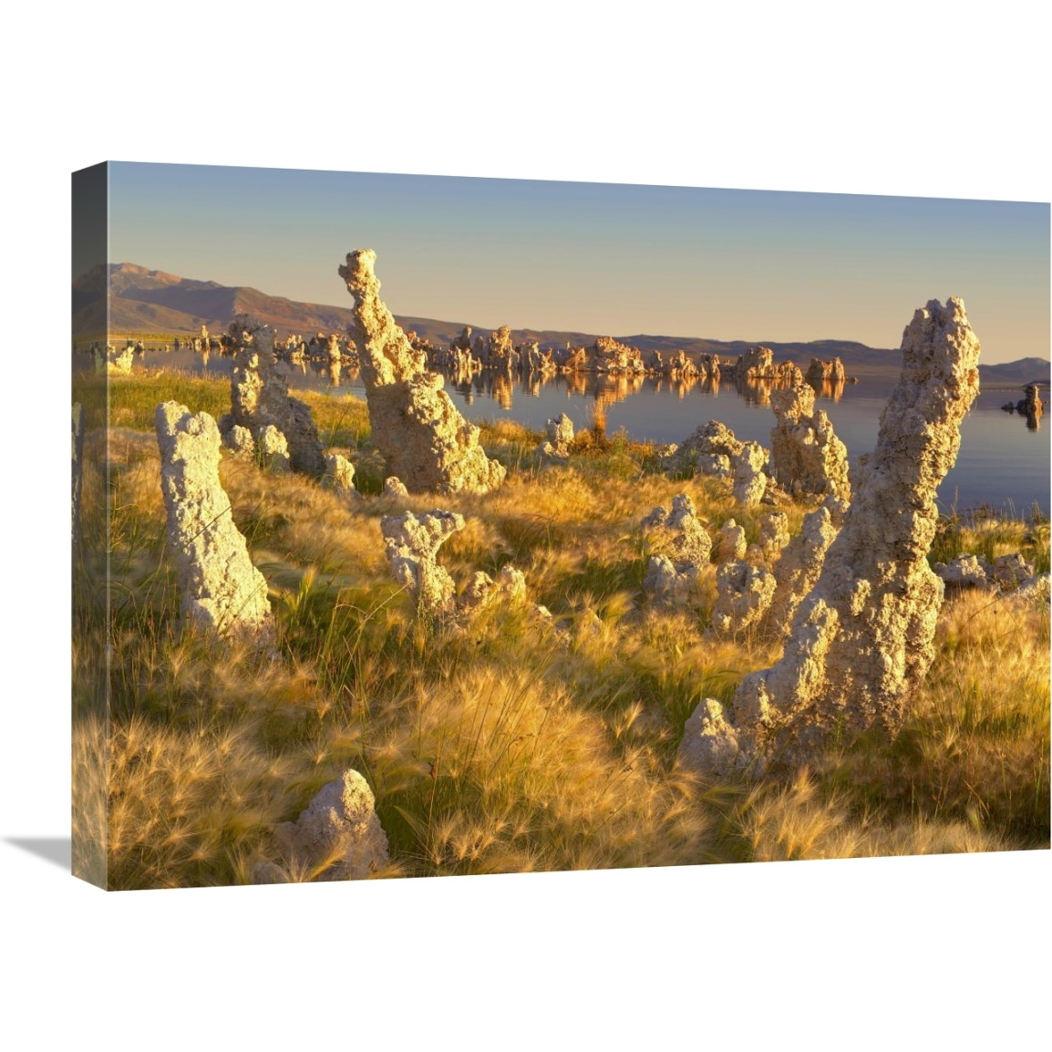 Wind and rain eroded tufa towers amid Squirreltail Barley Mono Lake, California-Canvas Art-24&quotx18"