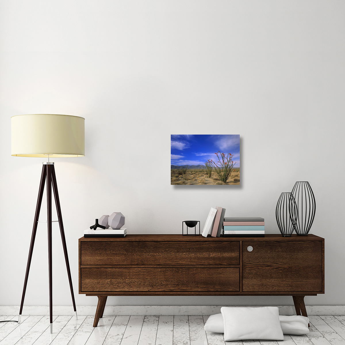 Ocotillo and the Vallecito Mountains, Anza-Borrego Desert State Park, California-Canvas Art-24&quotx18"