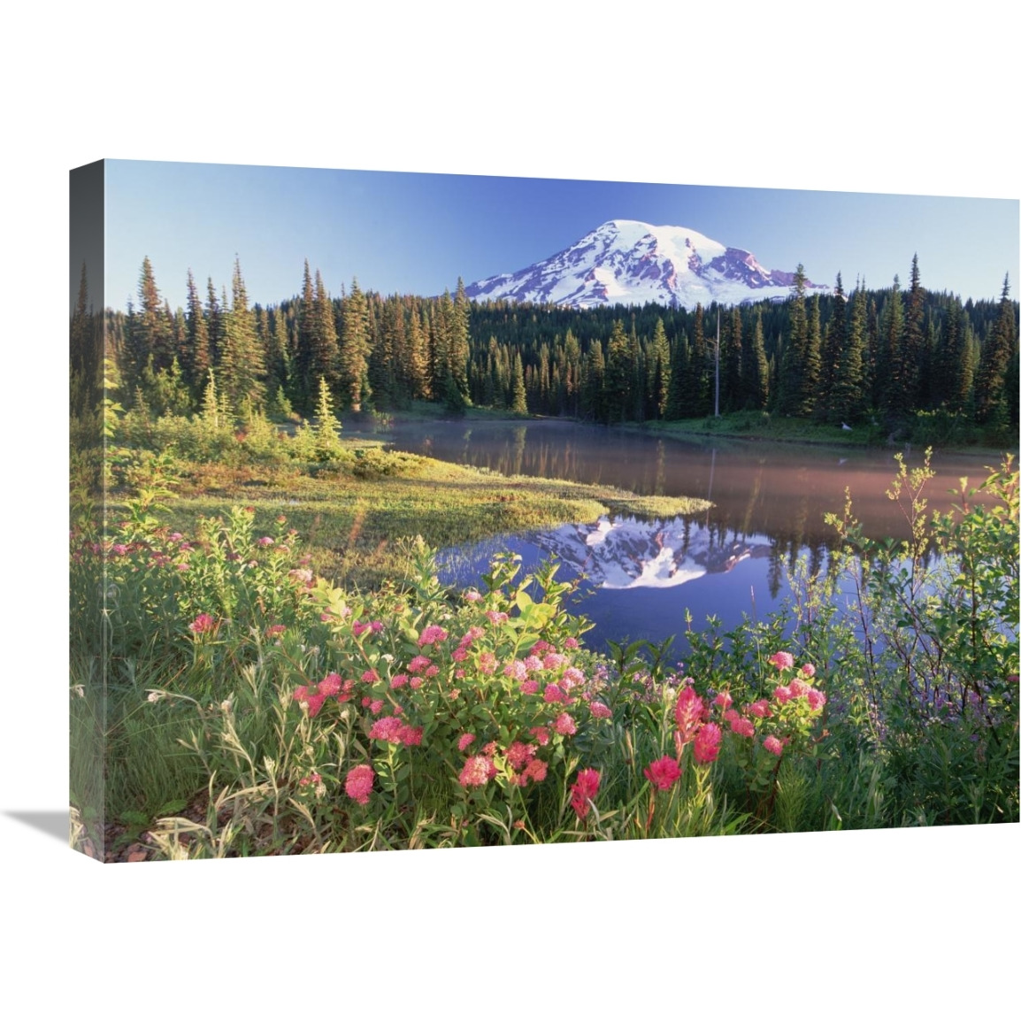 Mt Rainier and wildflowers at Reflection lake, Mt Rainier National Park, Washington-Canvas Art-24&quotx18"