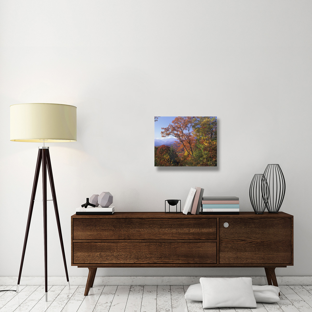 Deciduous forest in autumn, Blue Ridge Parkway, Great Smoky Mountains, North Carolina-Canvas Art-24&quotx20"