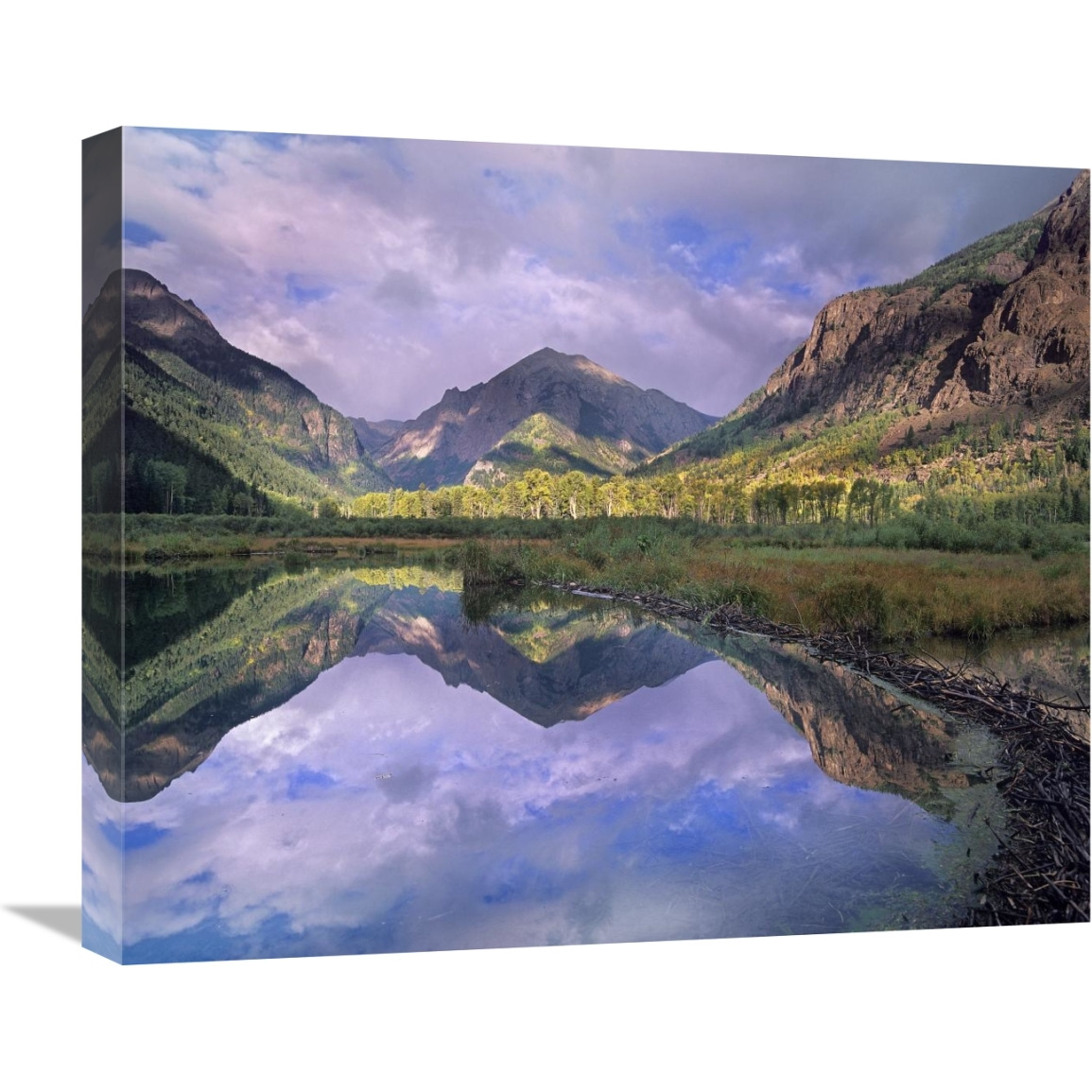 Handies Peak reflected in beaver pond, Maroon Bells-Snowmass Wilderness Area, Colorado-Canvas Art-22&quotx18.26"