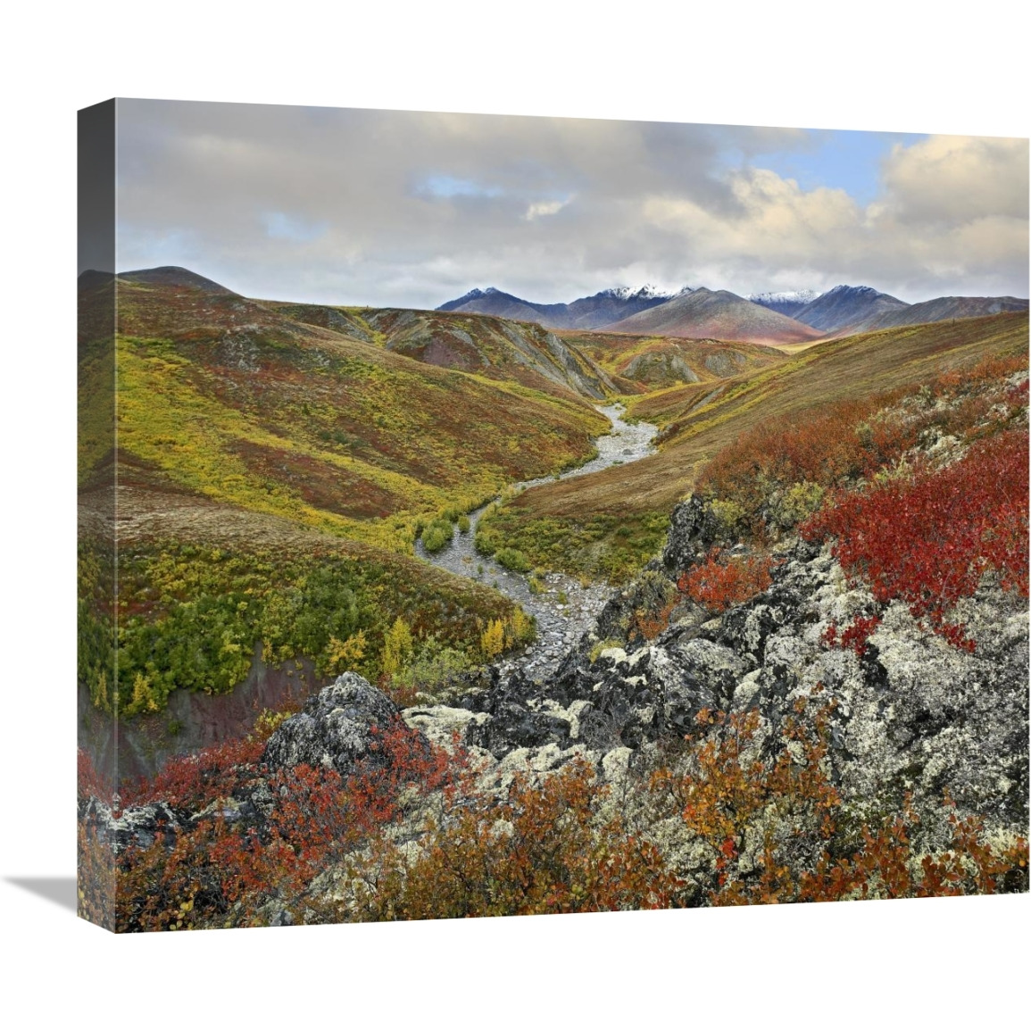 River flowing through tundra, Ogilvie Mountains, Tombstone Territorial Park, Yukon, Canada-Canvas Art-22&quotx19.36"