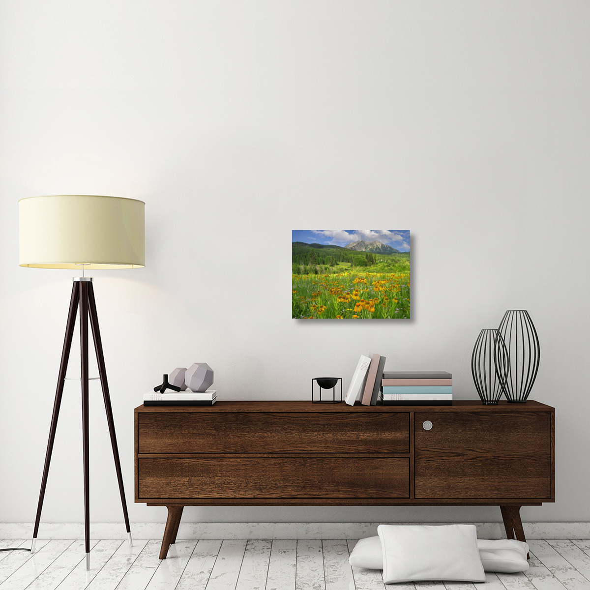 Orange Sneezeweed blooming in meadow with East Beckwith Mountain in the background, Colorado-Canvas Art-24&quotx18"