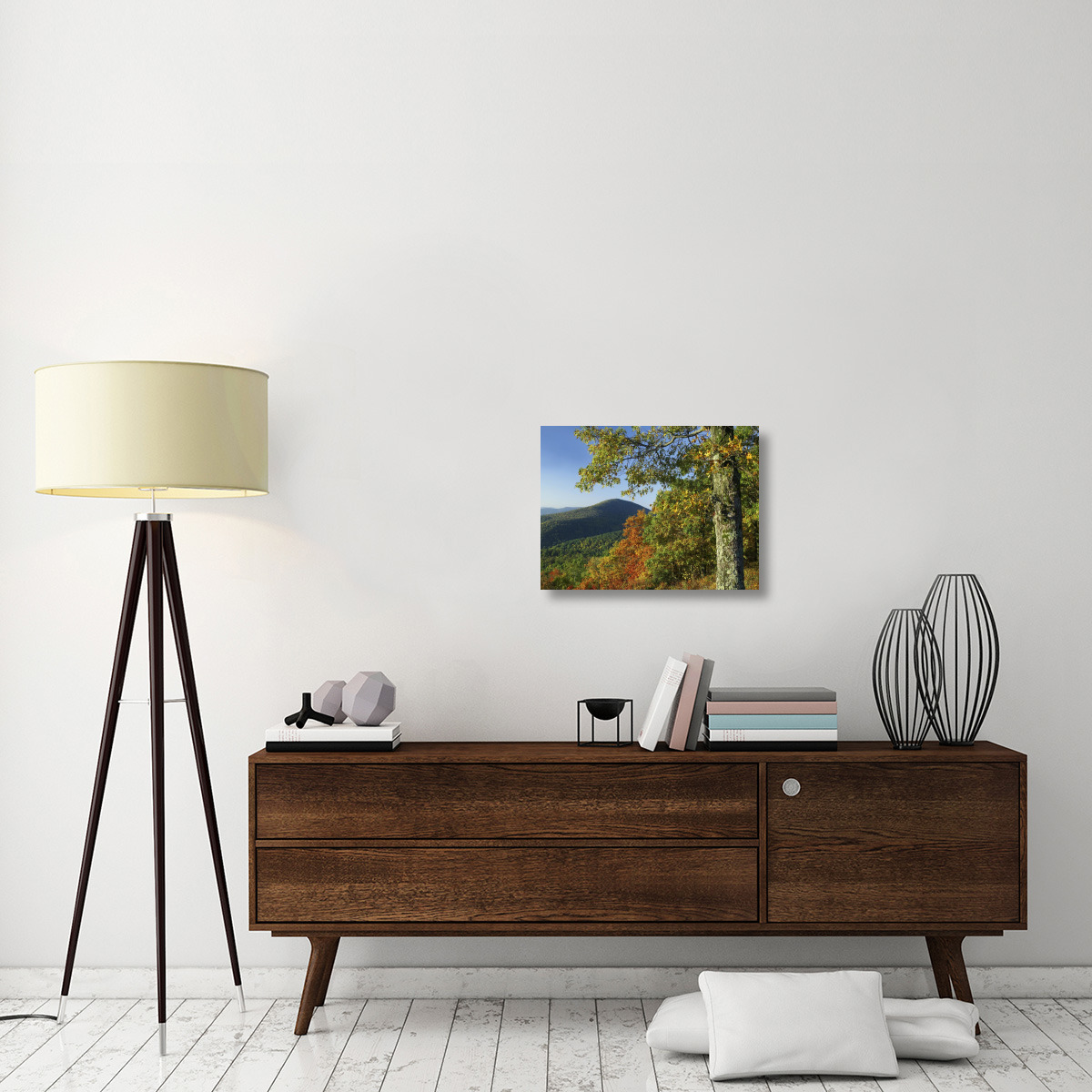 Broadleaf forest in fall colors as seen from Doyles River Overlook, Shenandoah National Park, Virginia-Canvas Art-24&quotx18"