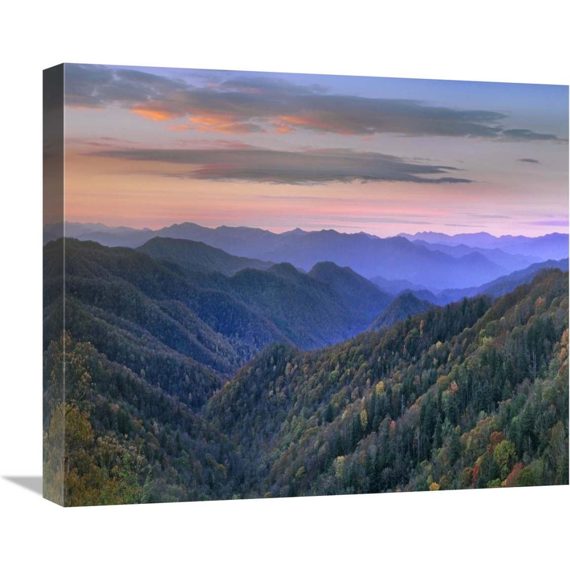 Deciduous forest covering mountains, Newfound Gap, Great Smoky Mountains National Park, North Carolina-Canvas Art-22&quotx18.48"