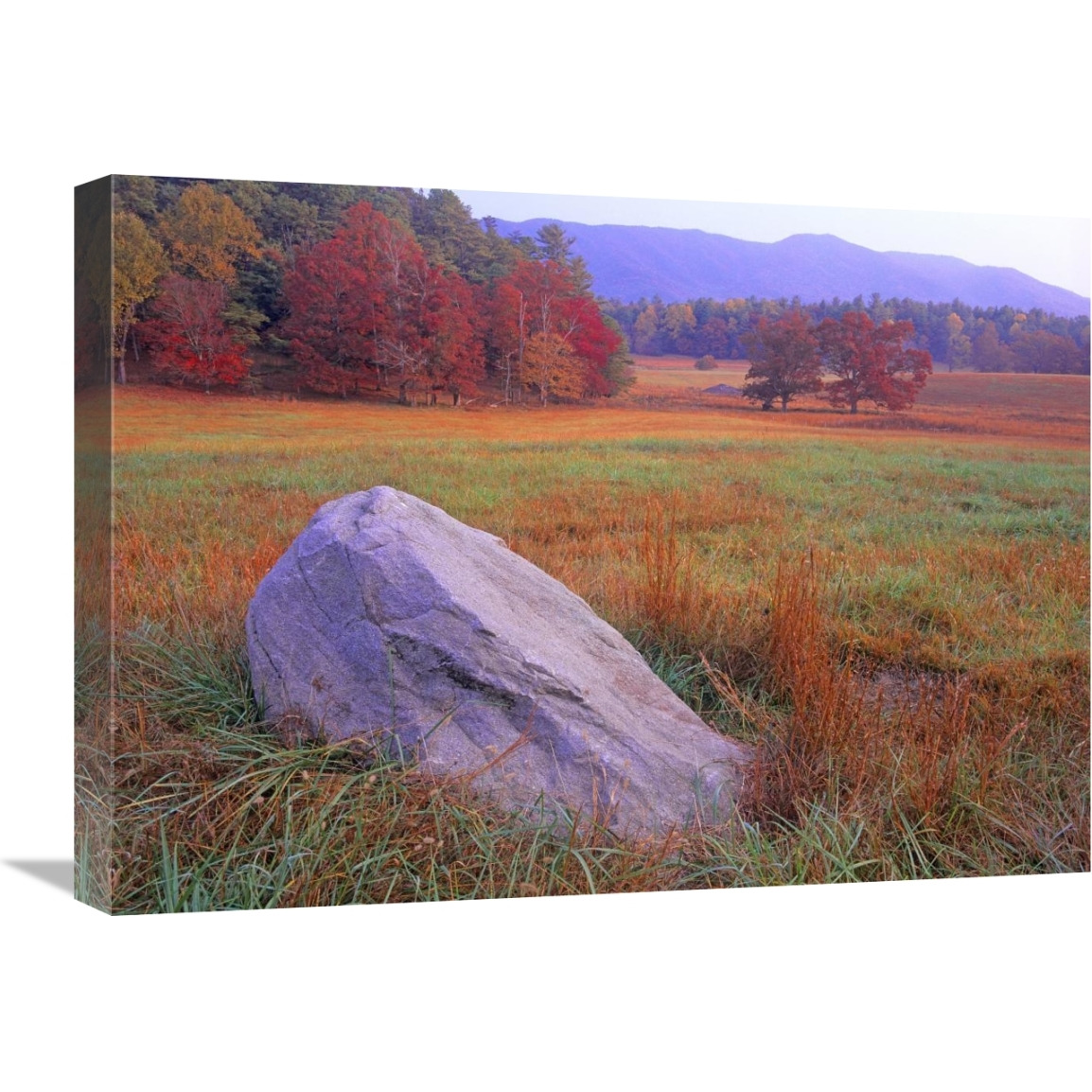 Boulder and autumn colored deciduous forest, Cades Cove, Great Smoky Mountains National Park, Tennessee-Canvas Art-24&quotx18"