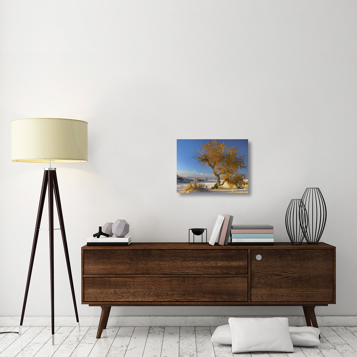 Fremont Cottonwood tree single tree in desert, White Sands National Monument, Chihuahuan Desert New Mexico-Canvas Art-24&quotx18"