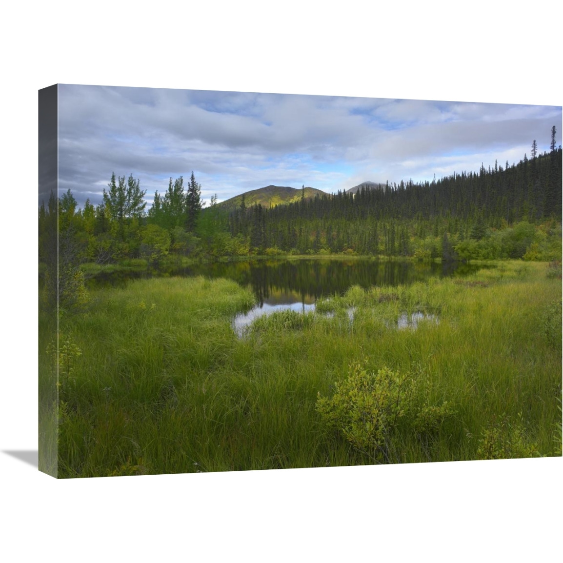 Boreal forest with pond and Antimony Mountain in the background, Ogilvie Mountains, Yukon Territory, Canada-Canvas Art-24&quotx18"