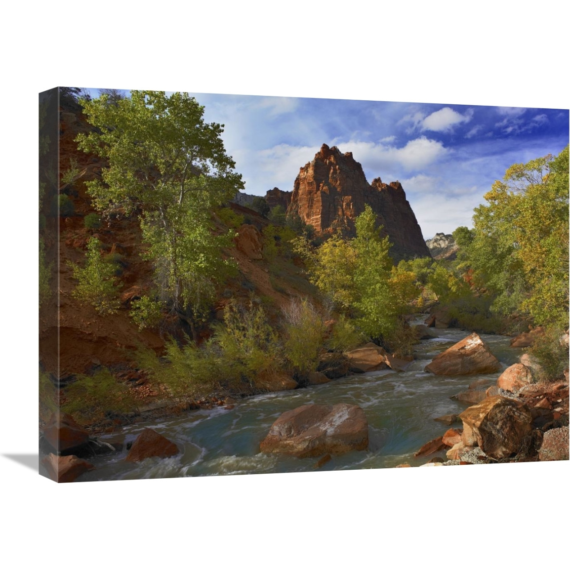 Mt Spry at 5,823 foot elevation with the Virgin River surrounded by Cottonwood trees, Zion National Park, Utah-Canvas Art-24&quotx18"