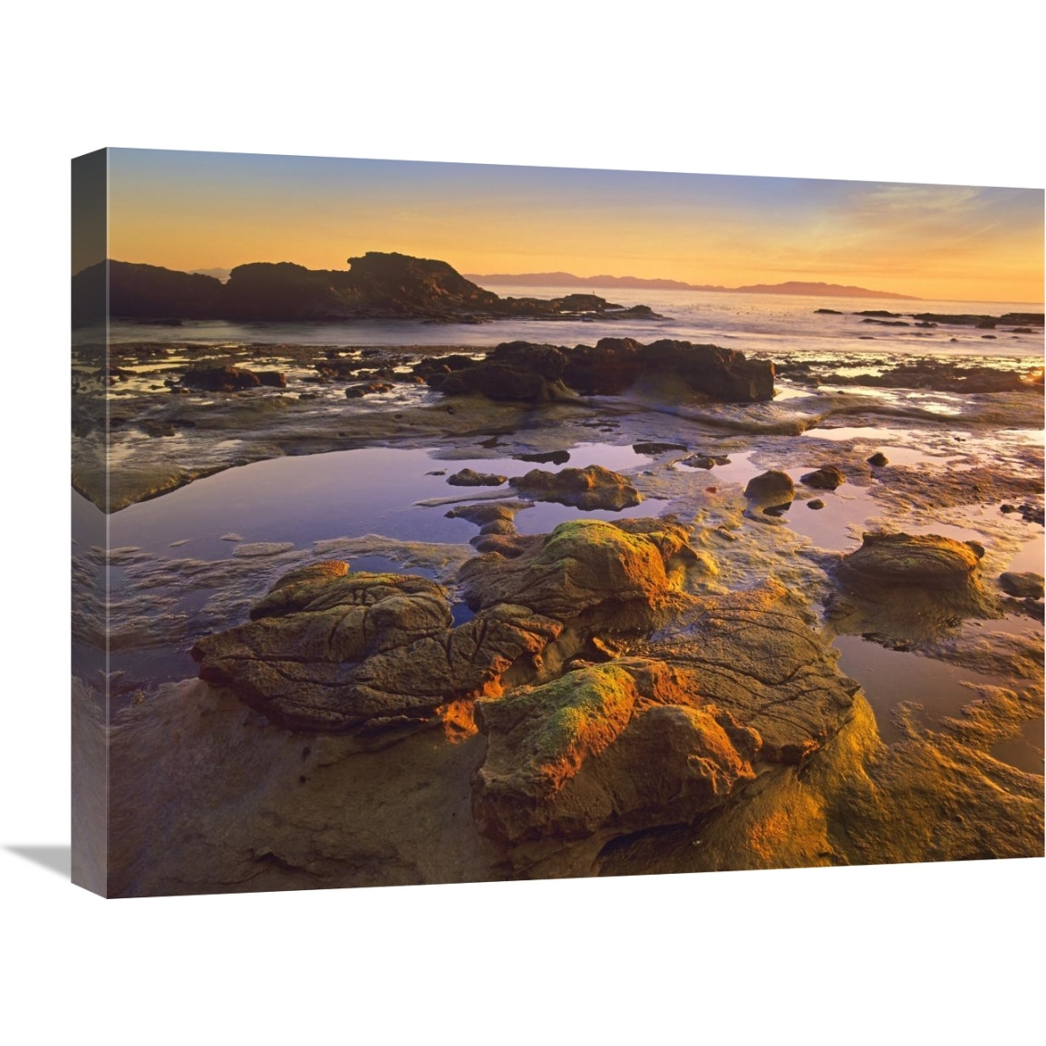 Tidepools exposed at low tide, Botanical Beach, Juan de Fuca Provincial Park, Vancouver Island, British Columbia, Canada-Canvas Art-24&quotx18"