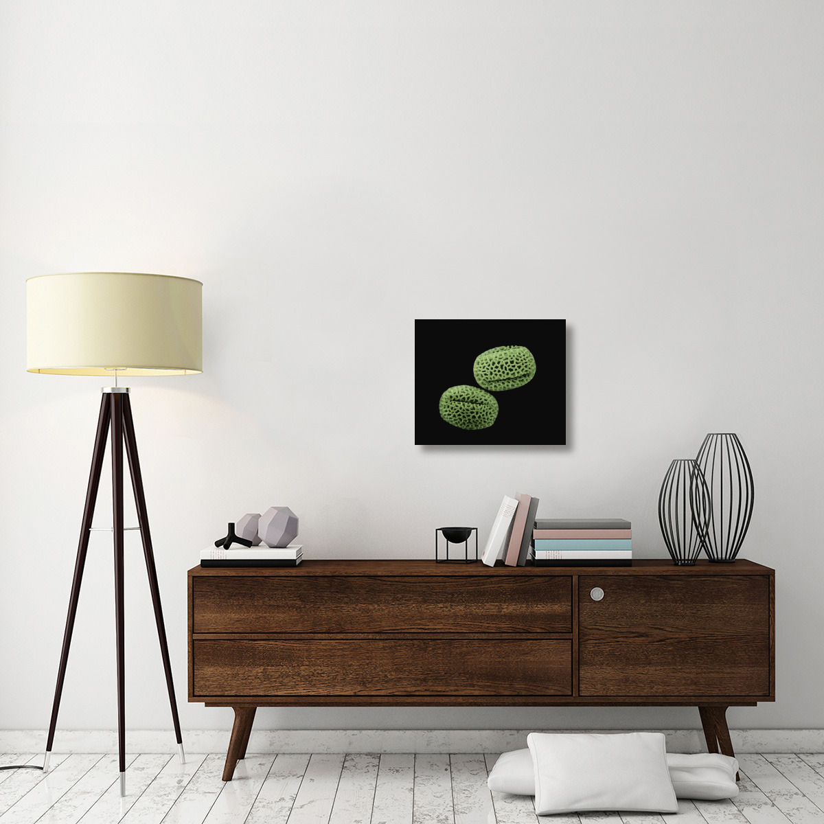 Olive (Olea europaea) pollen at 1400x magnification-Canvas Art-22&quotx18.26"