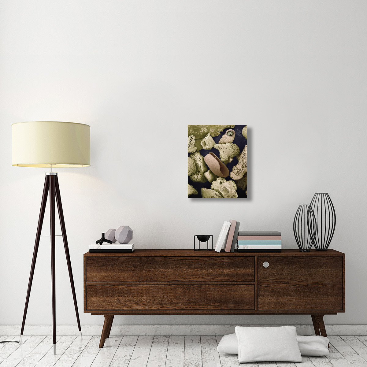 Foraminiferans, molluscs and other bryozoans found on beach in Formentera, Balearic Islands, Spain-Canvas Art-20&quotx24"