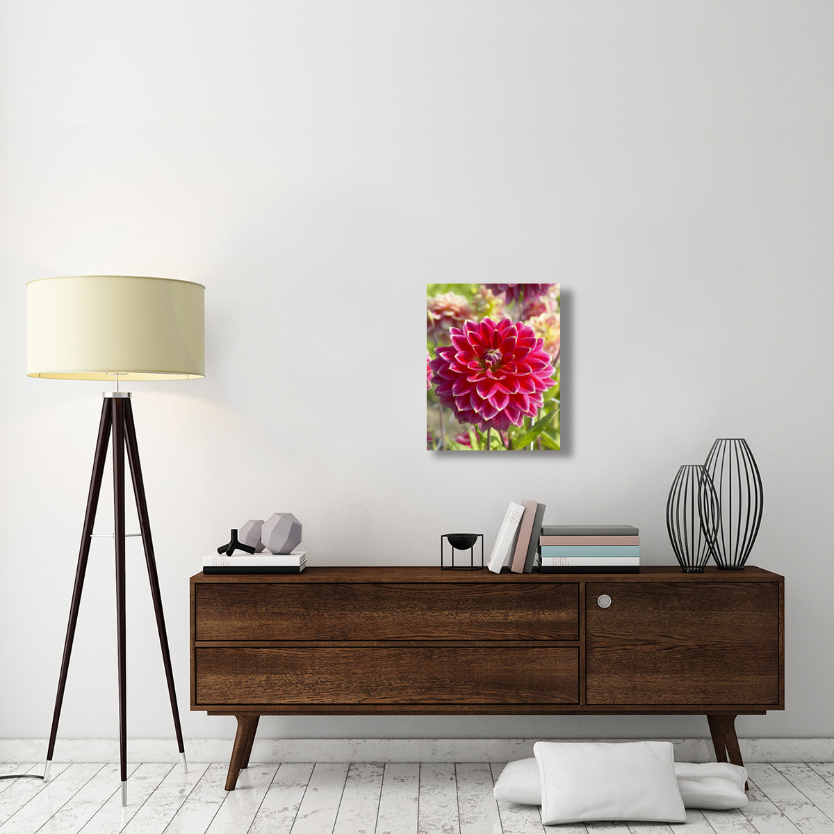 Dahlia optimist variety flower-Canvas Art-20&quotx24"