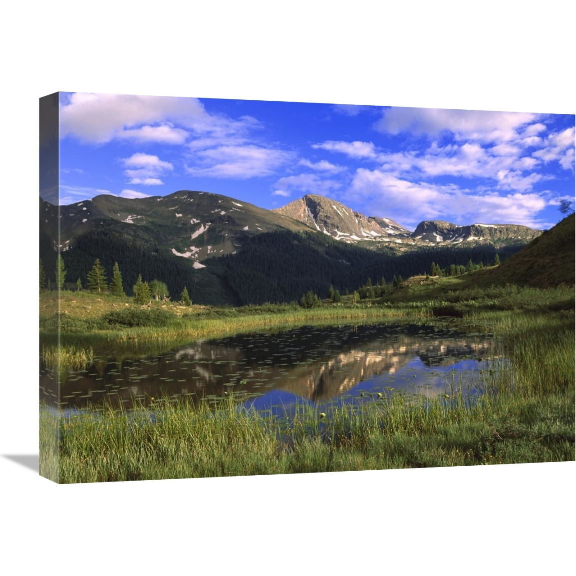 West Needle Mountains, Weminuche Wilderness, Colorado-Canvas Art-24&quotx18"