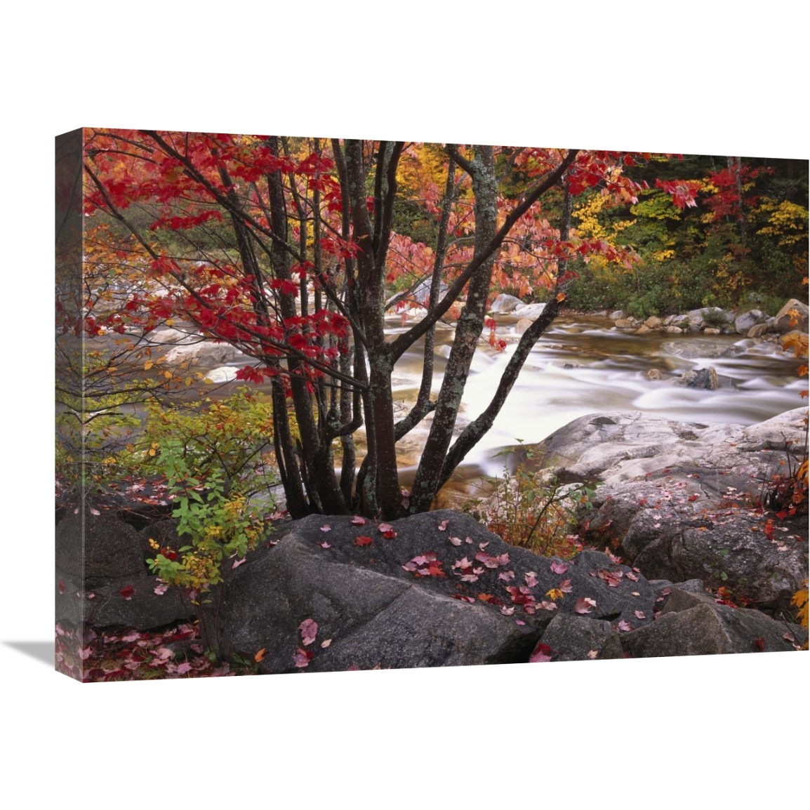 The Swift River, White Mountains National Forest, New Hampshire-Canvas Art-24&quotx18"