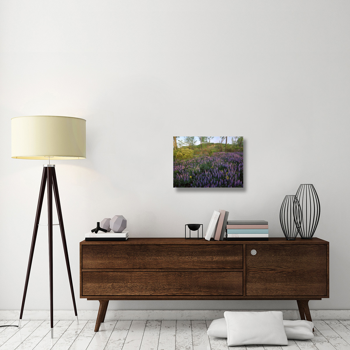 Lupine in meadow at West Beach, Indiana Dunes National Lakeshore, Indiana-Canvas Art-24&quotx18"