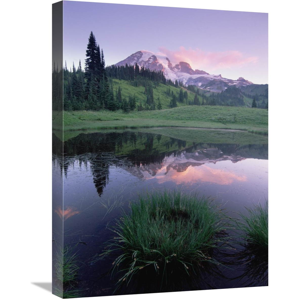 Mt Rainier reflected in lake, Mt Rainier National Park, Washington-Canvas Art-18&quotx24"