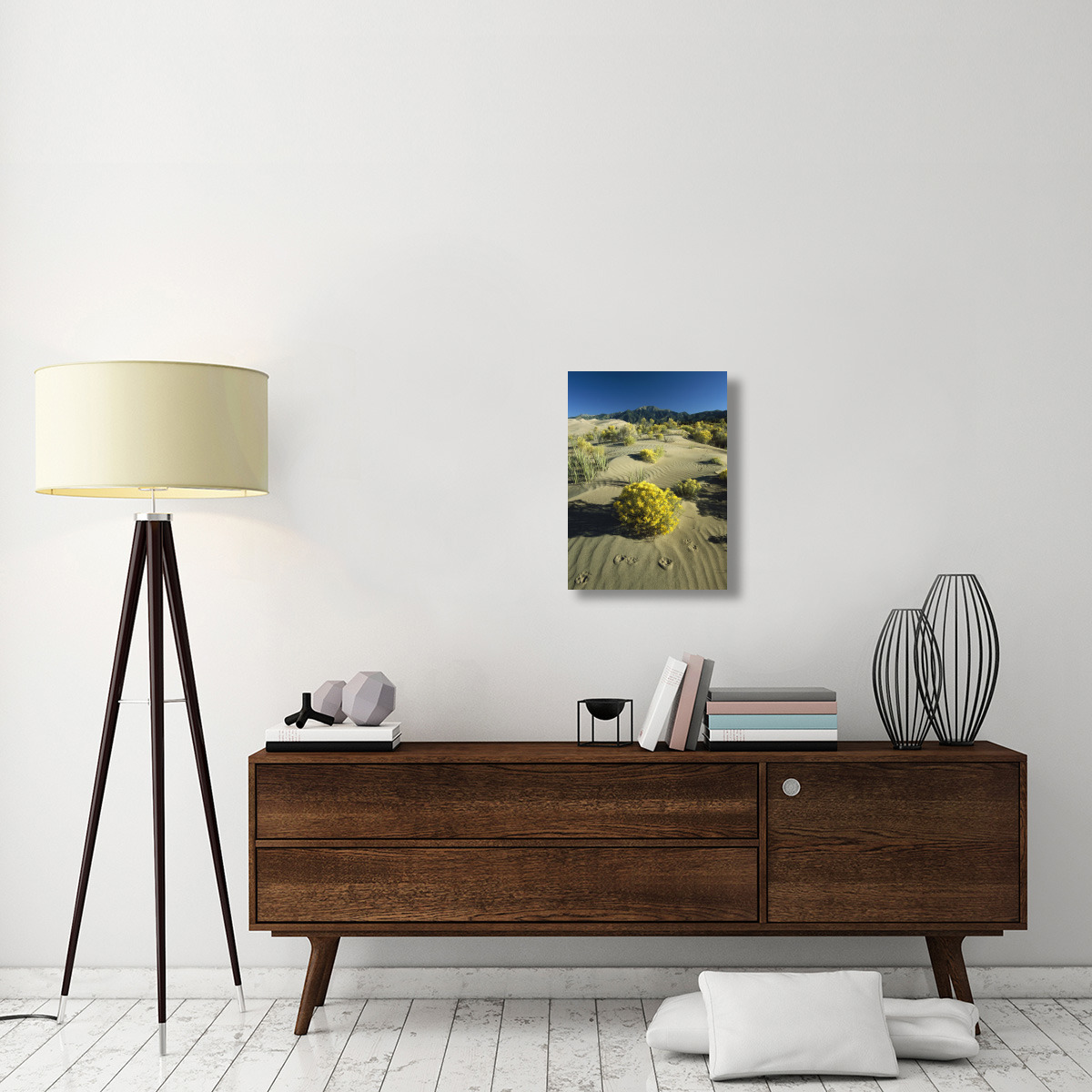 Coyote tracks and flowering shrubs, Great Sand Dunes, Colorado-Canvas Art-18&quotx24"