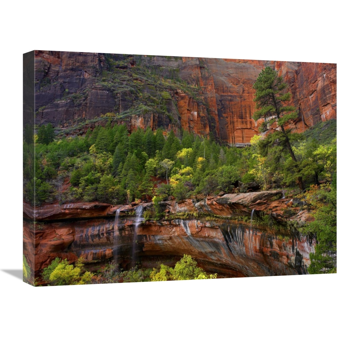 Cascades and desert varnish at Emerald Pools, Zion National Park, Utah-Canvas Art-24&quotx18"