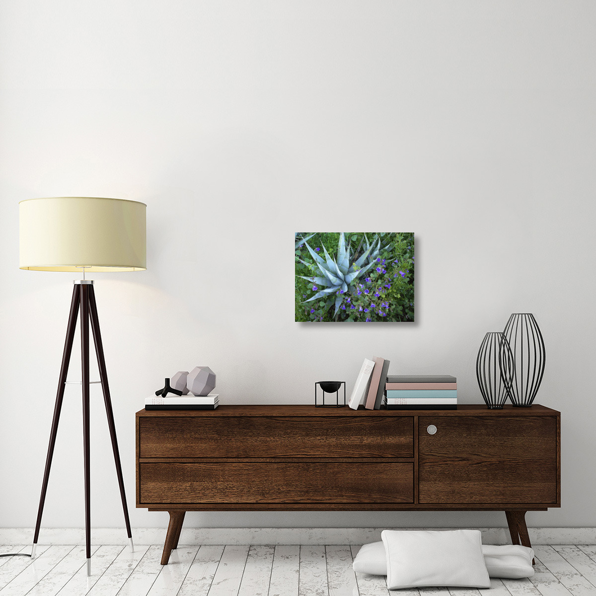 Desert Bluebell and Agave , North America-Canvas Art-24&quotx18"