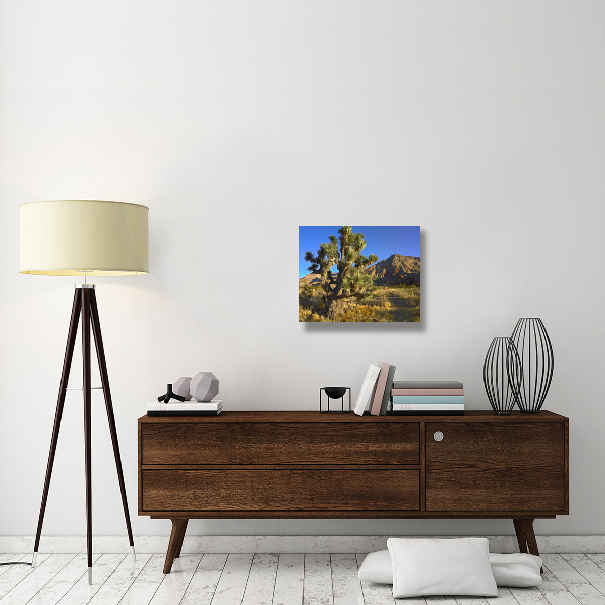 Joshua Tree with the Virgin Mountains, Arizona-Canvas Art-24&quotx20"