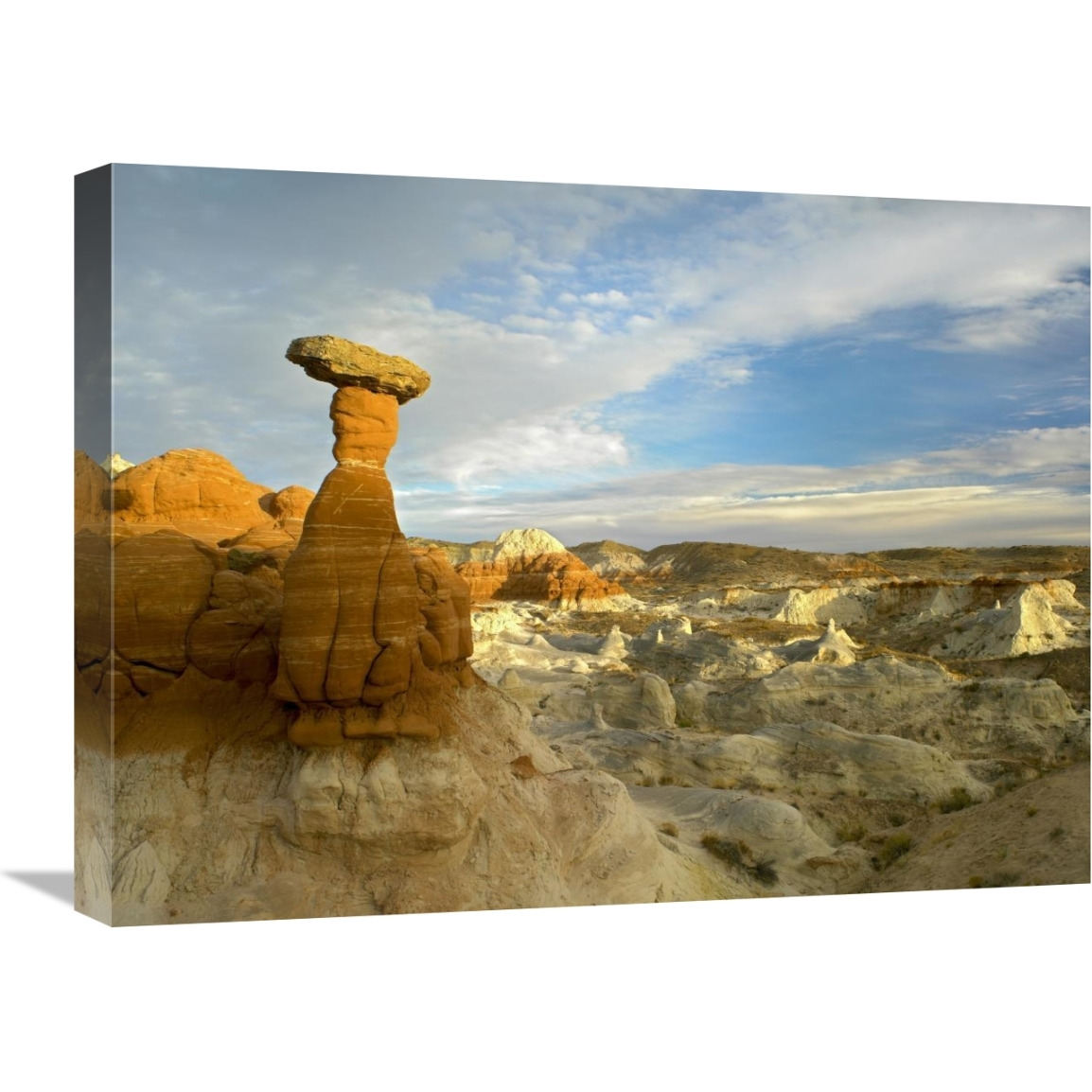 Toadstool Caprocks, Grand Staircase, Escalante National Monument, Utah-Canvas Art-24&quotx18"