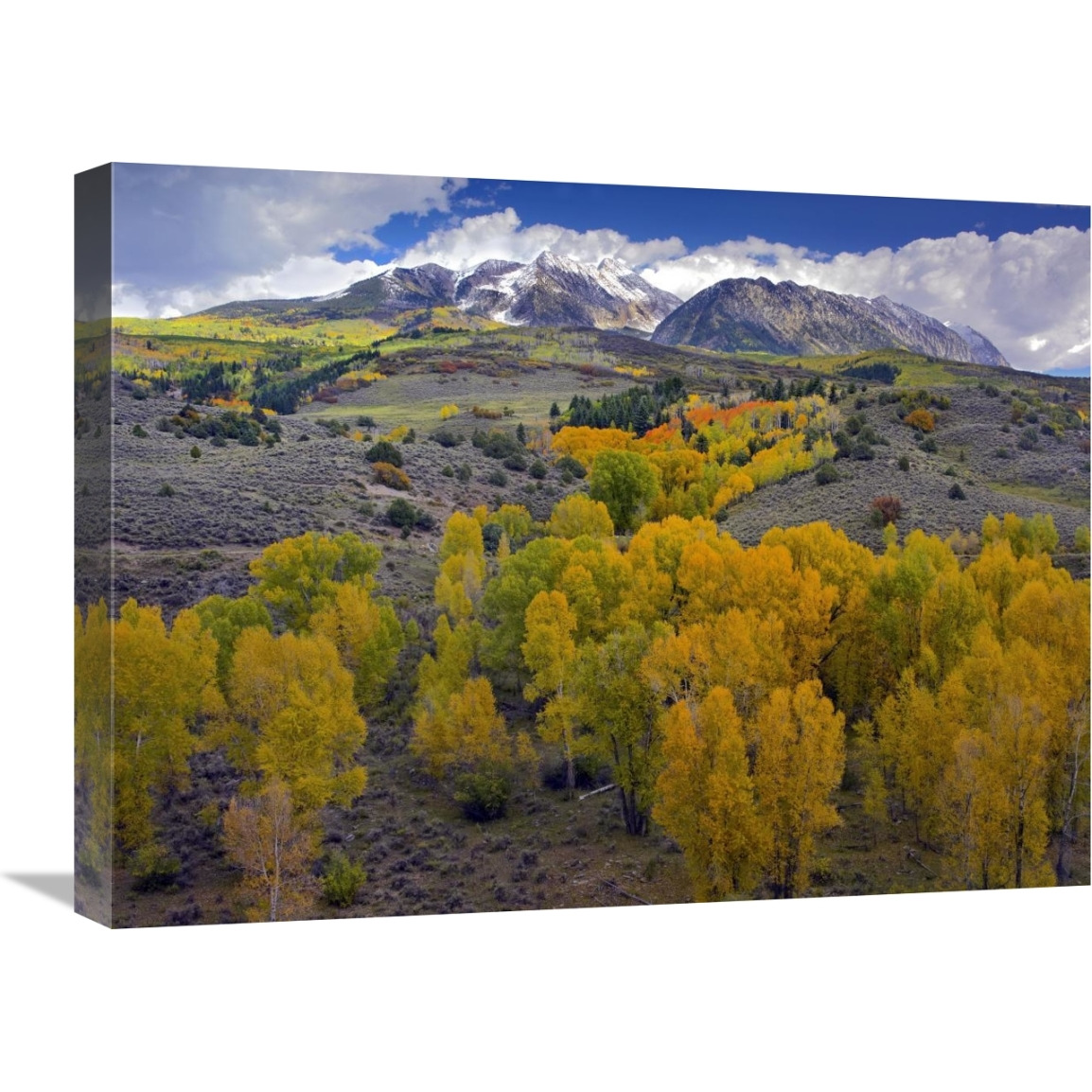 Fall colors at Chair Mountain, Colorado-Canvas Art-24&quotx18"