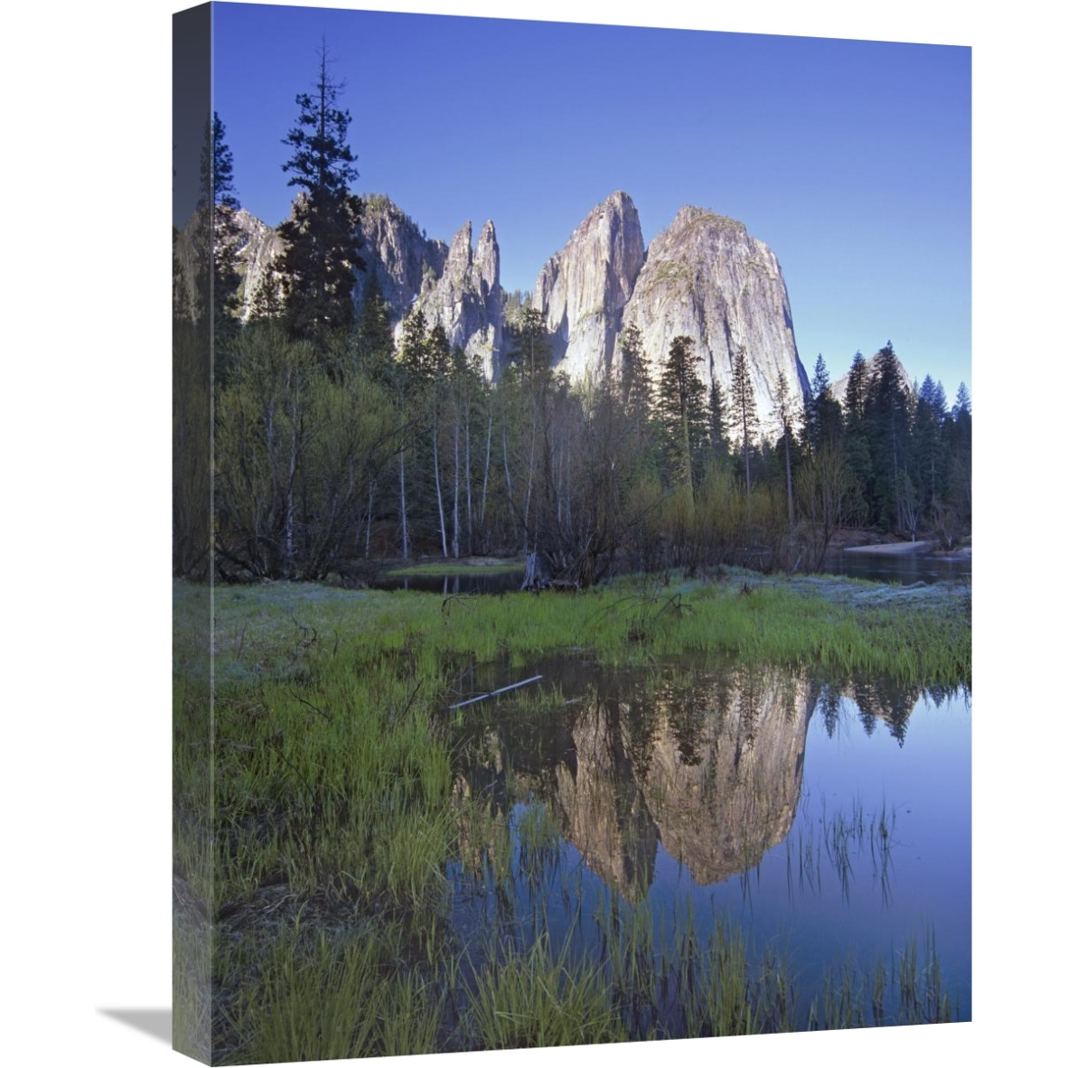 Cathedral Rock reflected in the Merced River, Yosemite NP, California-Canvas Art-18&quotx24"