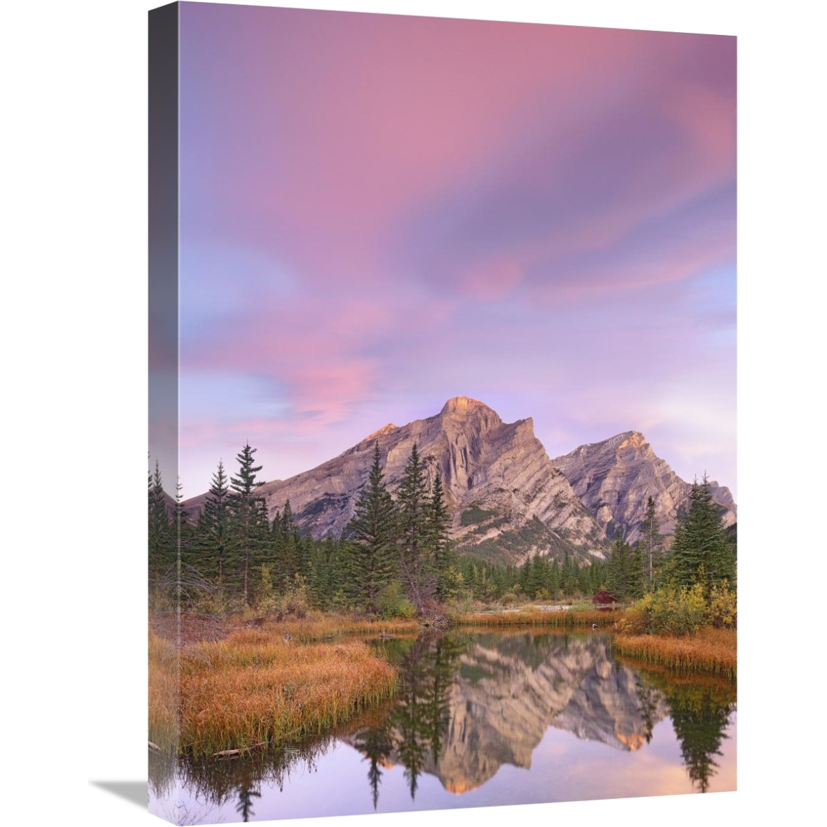 Mount Kidd and trees reflected in pond, Alberta, Canada-Canvas Art-18&quotx24"