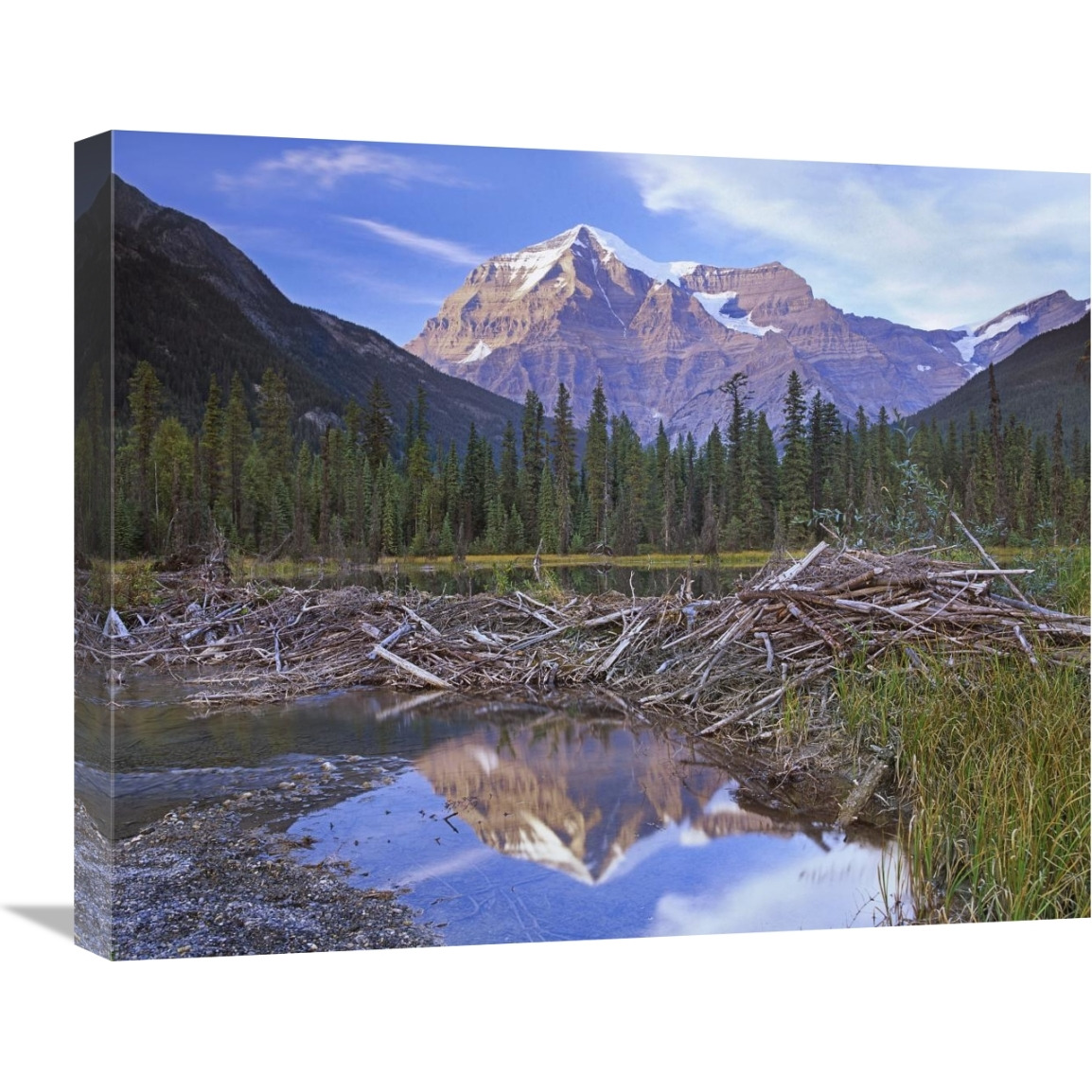 Beaver dam and Mount Robson, Mount Robson Provincial Park, BC, Canada-Canvas Art-24&quotx20"