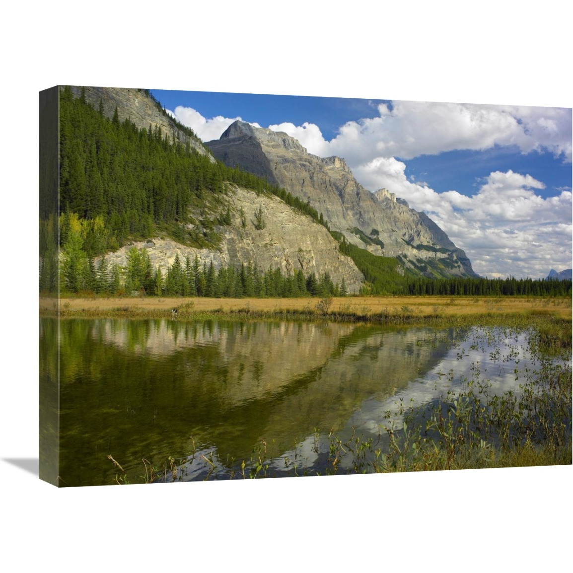 Mount Wilson reflected in lake, Banff National Park, Alberta, Canada-Canvas Art-24&quotx18"