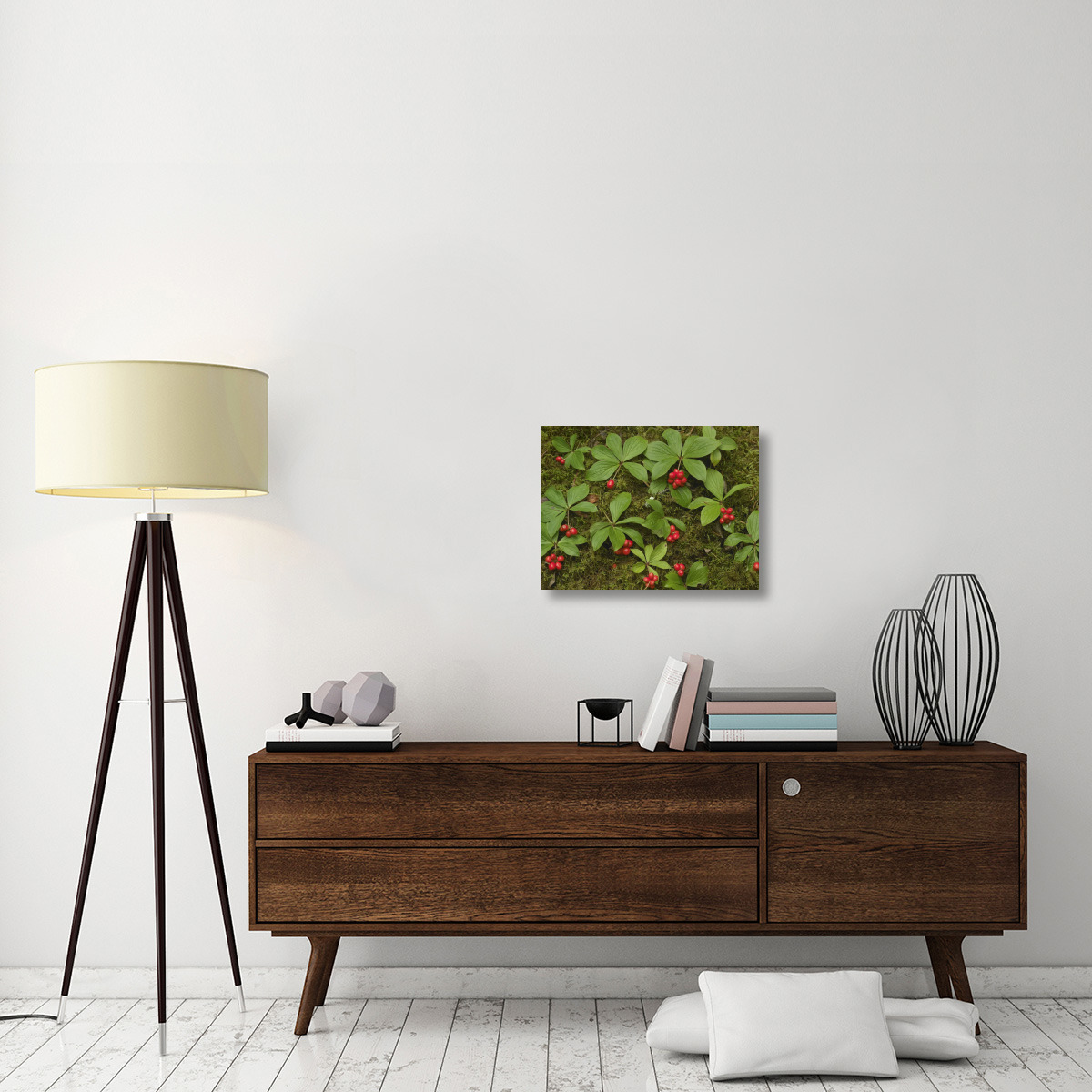 Bunchberry growing amid Sphagnum Moss, North America-Canvas Art-24&quotx18"