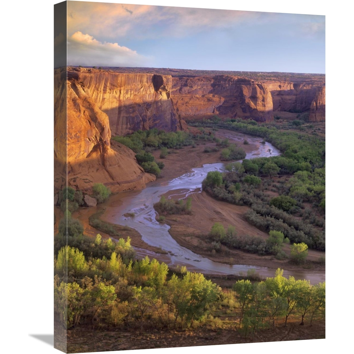 View from Tsegi Overlook, Cayon de Chelly National Monument, Arizona-Canvas Art-18&quotx24"