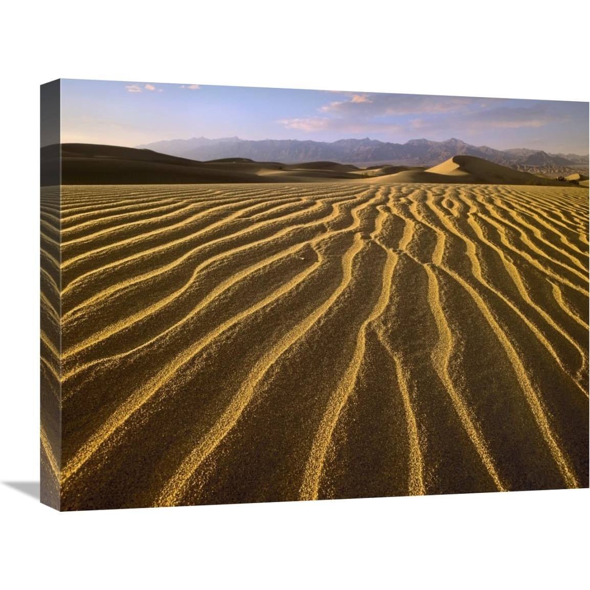 Sand dunes, Death Valley National Park, California-Canvas Art-24&quotx18"