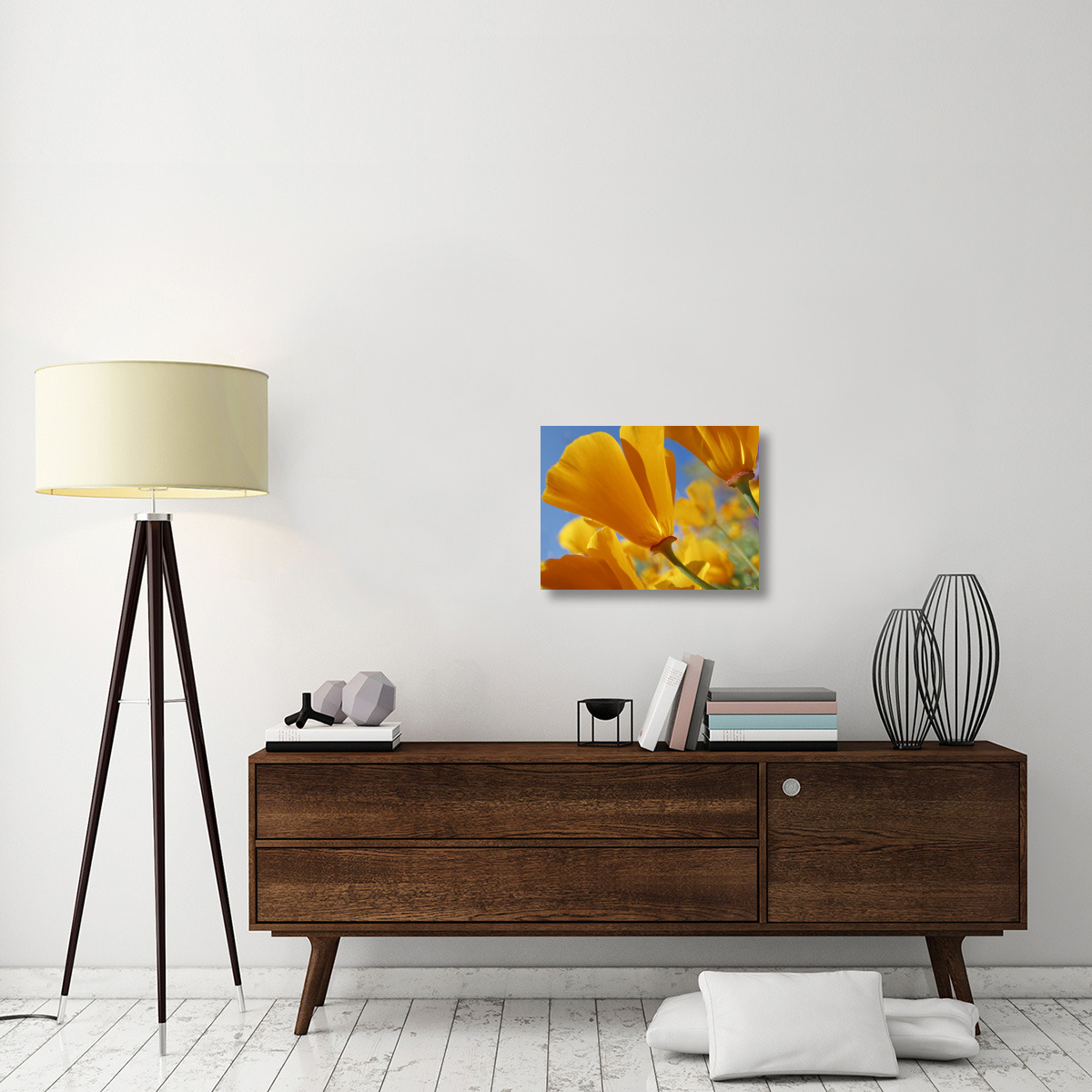 California Poppy flowers, Antelope Valley, California-Canvas Art-24&quotx18"