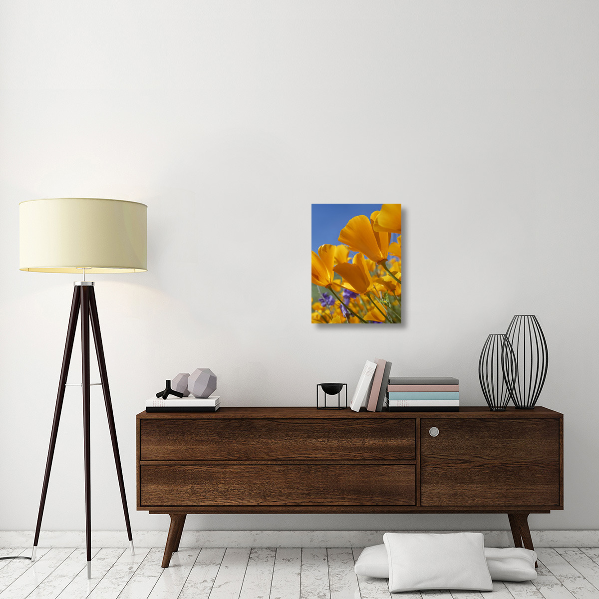 California Poppy flowers, Antelope Valley, California-Canvas Art-18&quotx24"