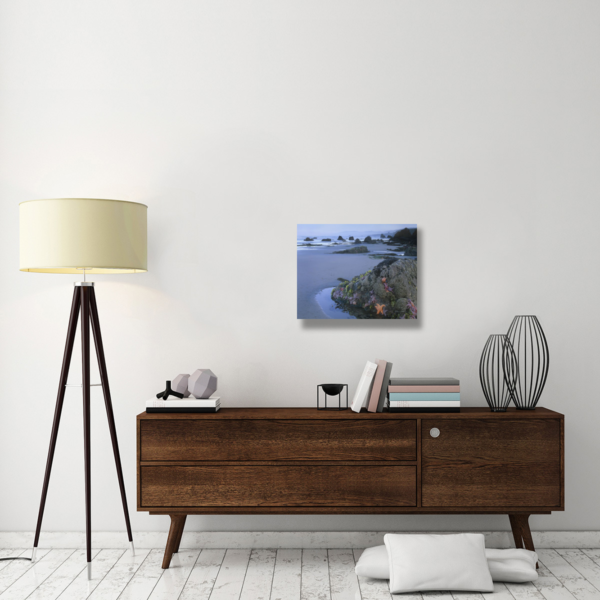 Ochre Sea Stars at low tide, Miwok Beach, Sonoma, California-Canvas Art-24&quotx20"