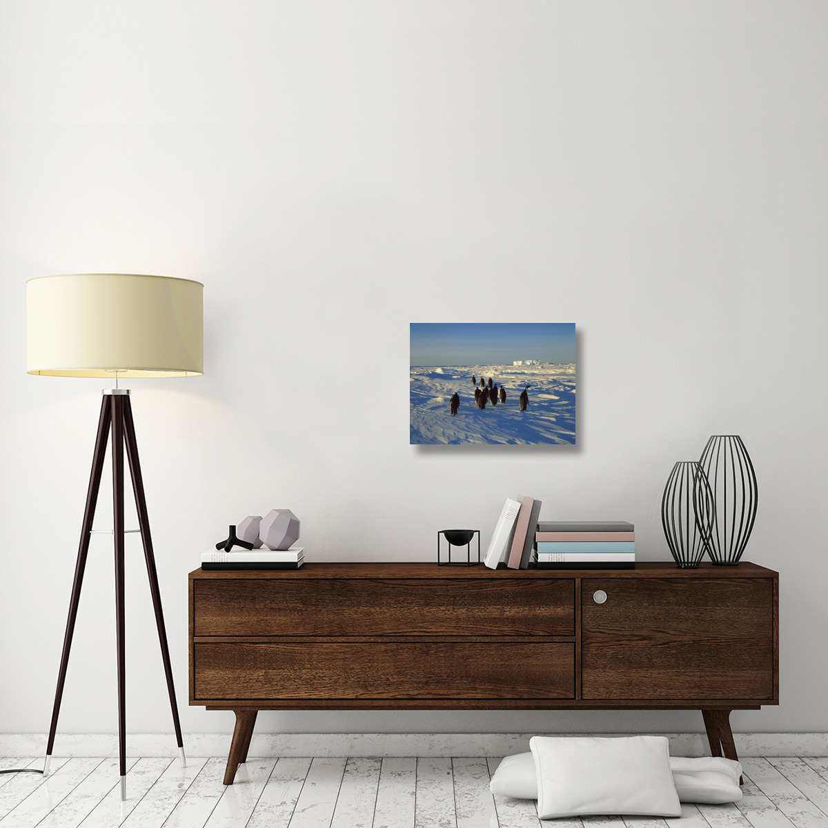 Emperor Penguin group walking on ice, Antarctica-Canvas Art-24&quotx18"